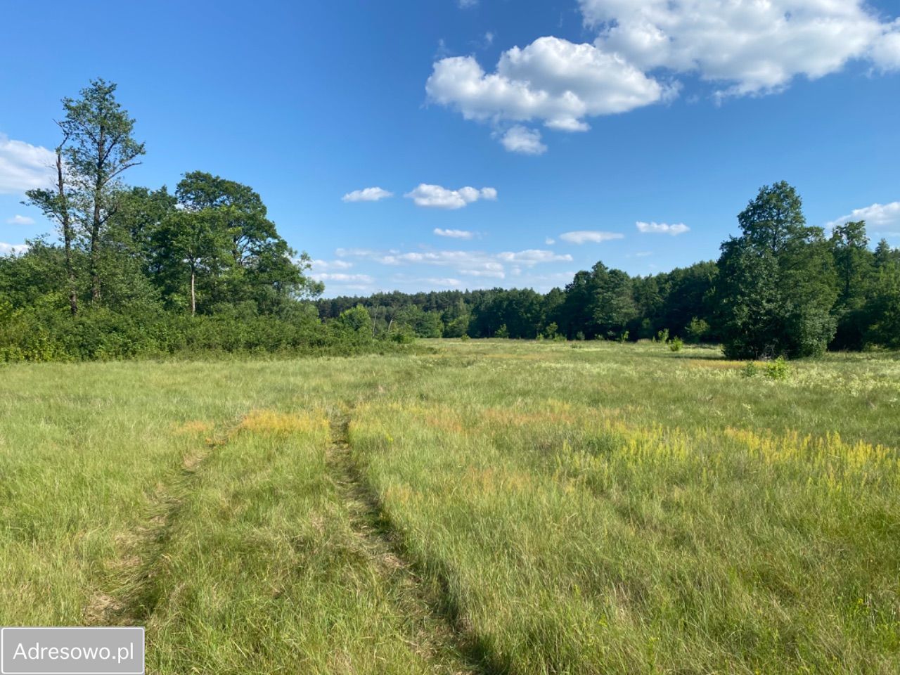Działka siedliskowa Dobrzyniec. Zdjęcie 10