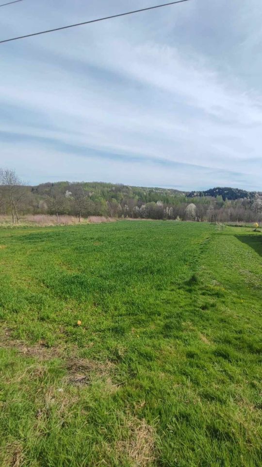 Działka rolno-budowlana Lubenia. Zdjęcie 7