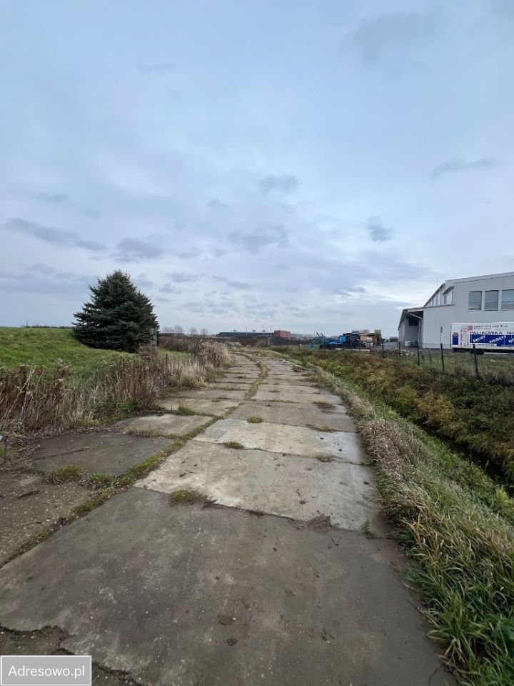 Działka inwestycyjna Łąka. Zdjęcie 3