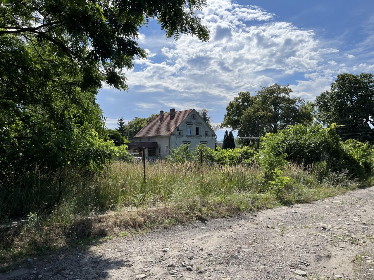 gospodarstwo, 5 pokoi Krosno Odrzańskie, ul. Wiejska. Zdjęcie 6