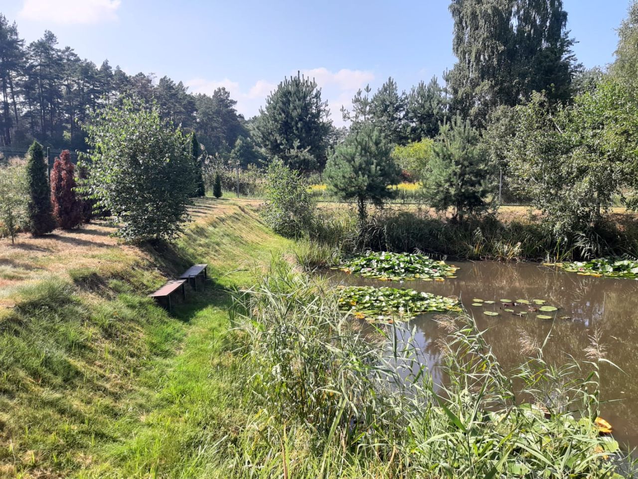 Działka budowlana Czysta. Zdjęcie 11