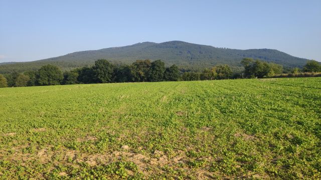 Działka budowlana Biała. Zdjęcie 1