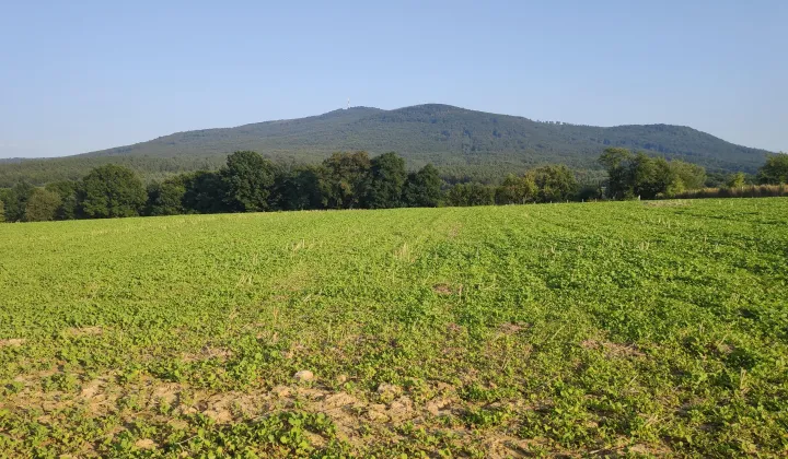 Działka budowlana Biała