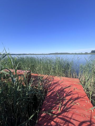 Działka rolno-budowlana Myślibórz. Zdjęcie 12
