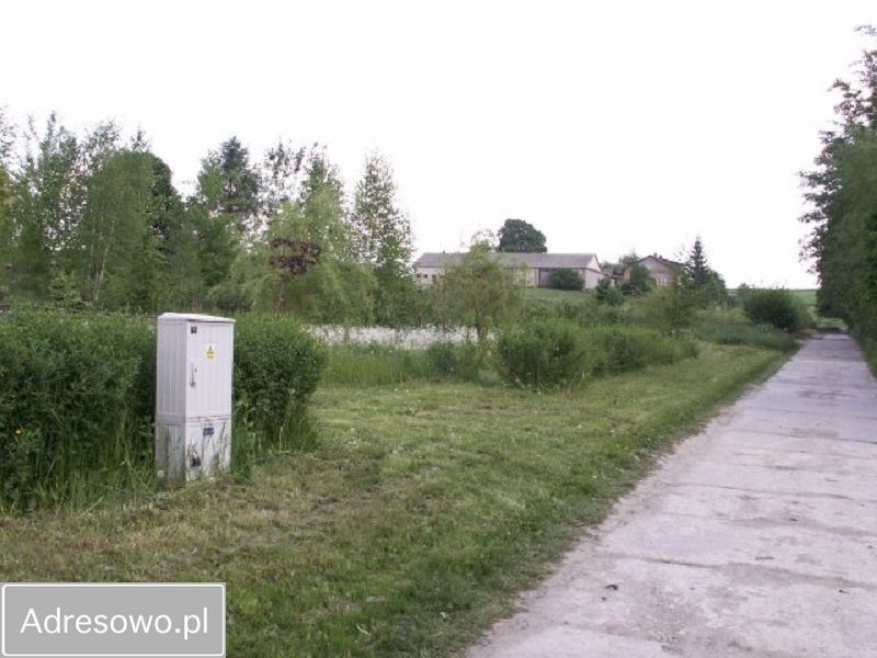 Działka rolno-budowlana Rzeczyca. Zdjęcie 3