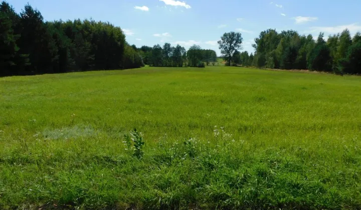 Działka rolna Galów Zagosiek