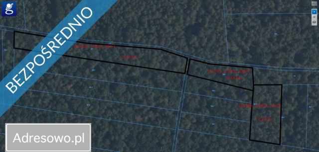 Działka leśna Terlików. Zdjęcie 1