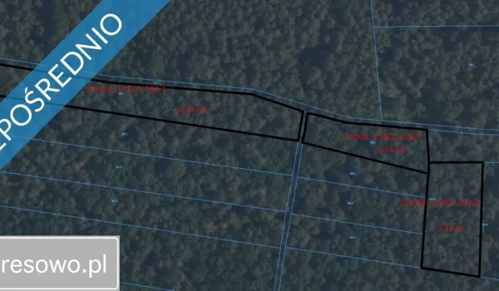 Działka leśna Terlików