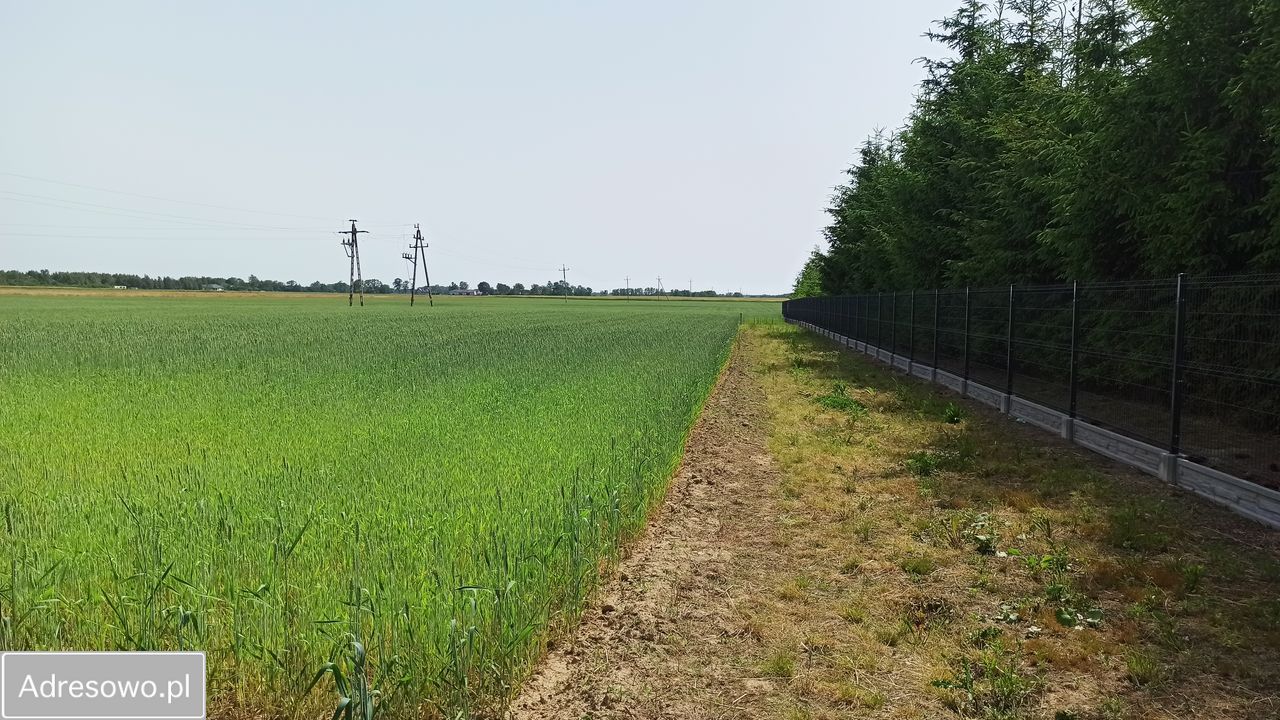 Działka rolno-budowlana Podkampinos. Zdjęcie 5