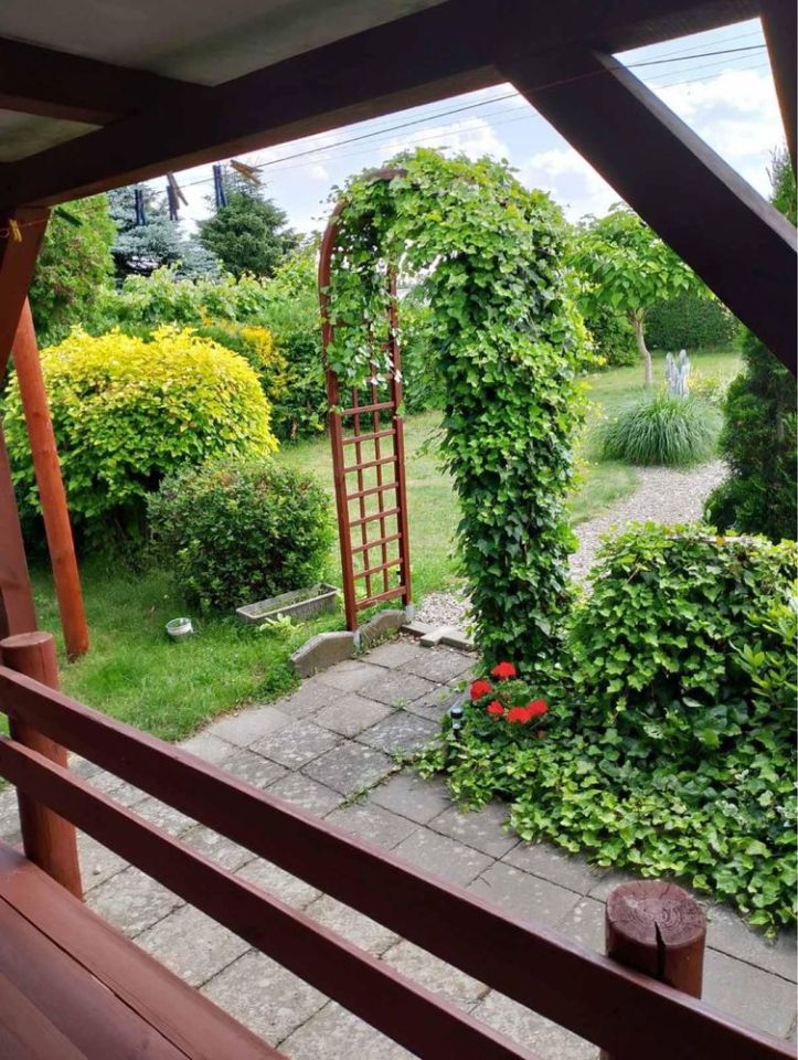 Działka rod Międzychód. Zdjęcie 6