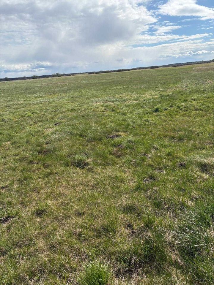 Działka rolna Doratynka. Zdjęcie 5