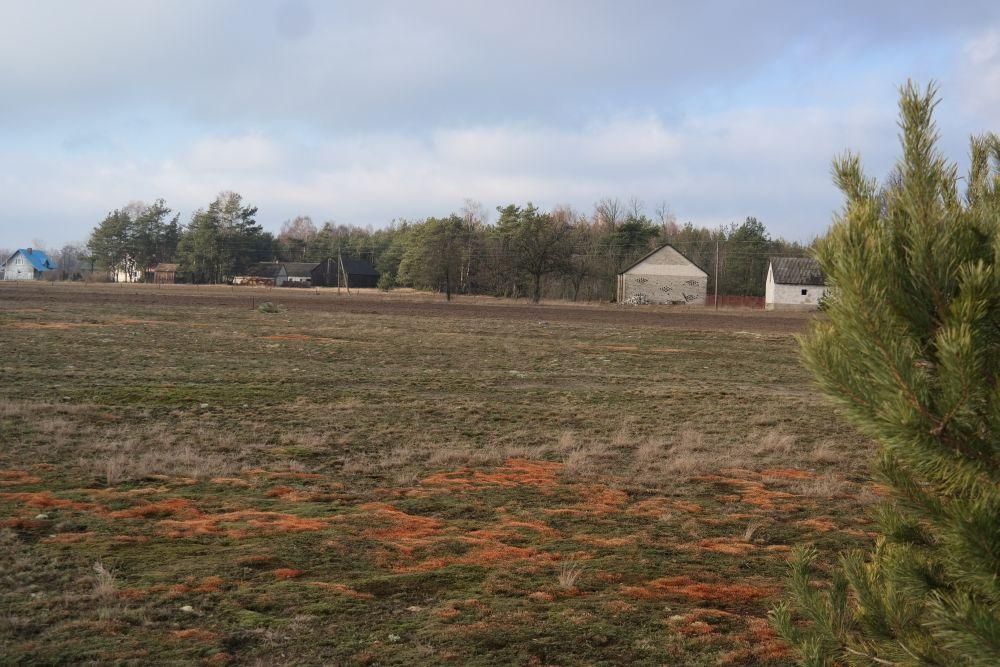 Działka budowlana Golanka. Zdjęcie 7