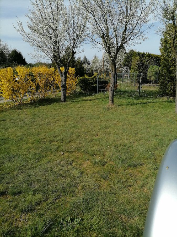 Działka rod Wierzbica, ul. Leśna. Zdjęcie 4