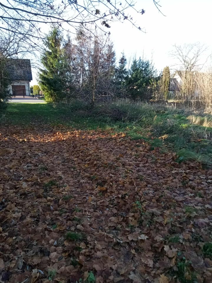 Działka budowlana Przybkowo. Zdjęcie 2