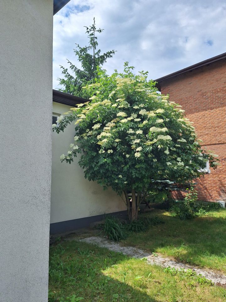 dom wolnostojący, 5 pokoi Łęczyca, Łęczyca. Zdjęcie 13