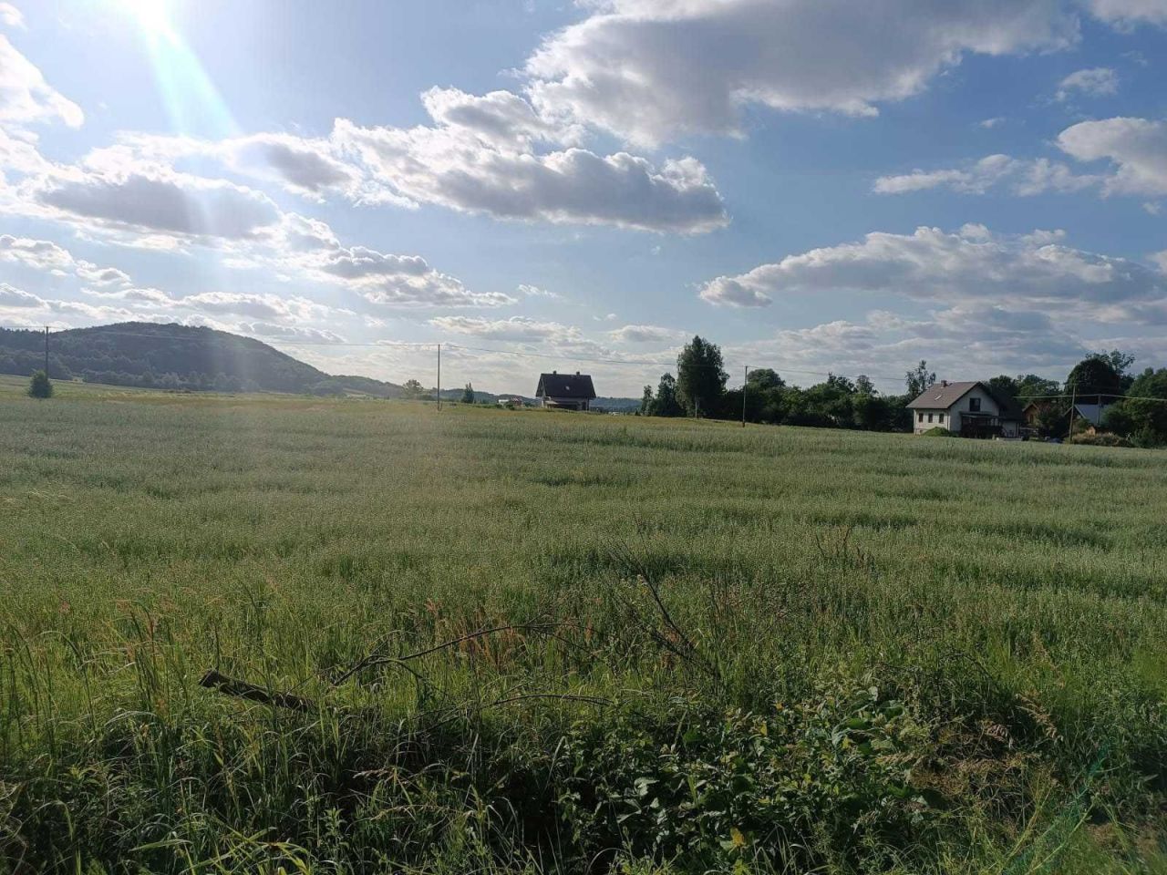 Działka rolno-budowlana Niebieszczany. Zdjęcie 6