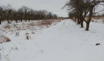 Działka rolno-budowlana Szydłów, ul. Ogrodowa