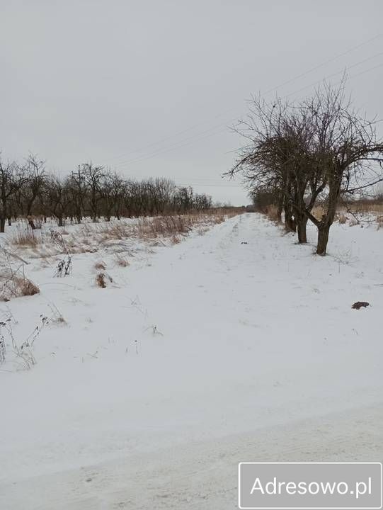 Działka rolno-budowlana Szydłów, ul. Ogrodowa