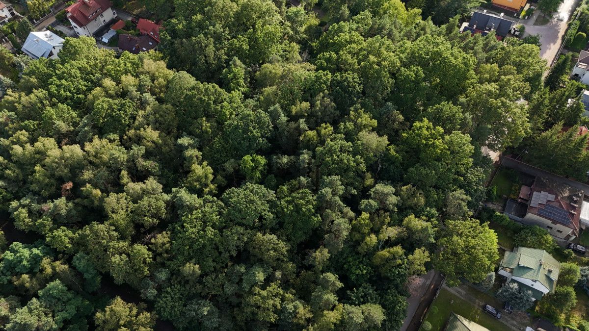 Działka budowlana Sulejówek, ul. 11 Listopada. Zdjęcie 8
