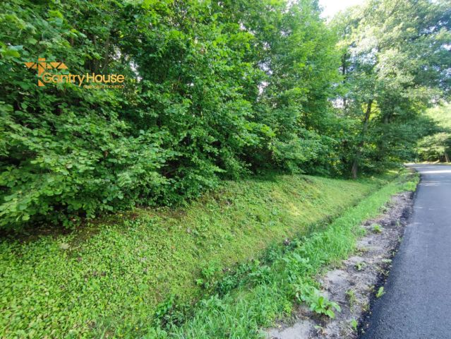 Działka siedliskowa Zastawno. Zdjęcie 8