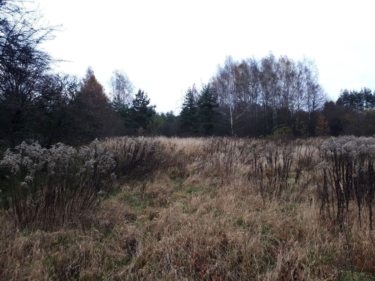 Działka rolna Libiąż, ul. Elizy Orzeszkowej. Zdjęcie 5