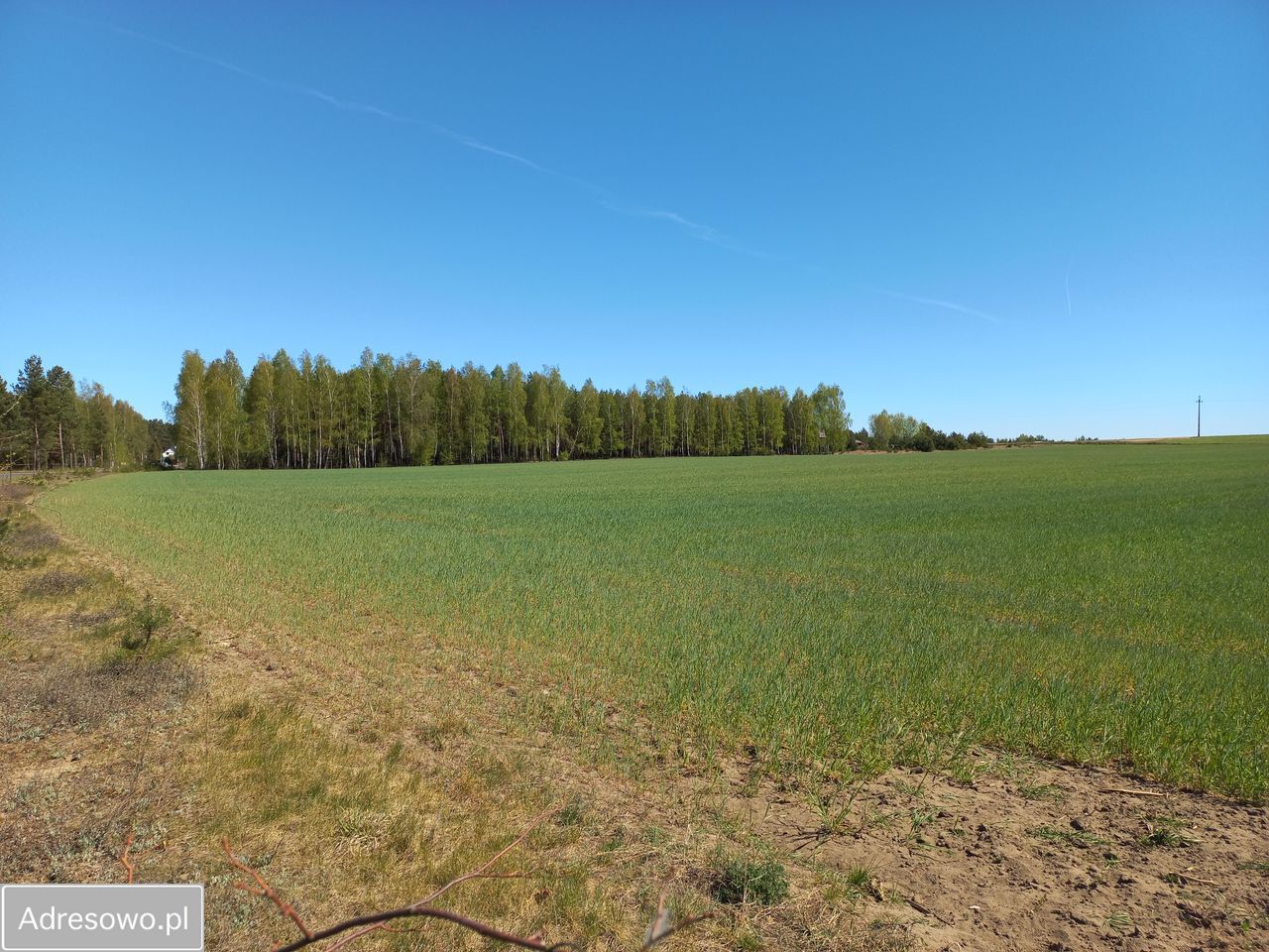 Działka budowlana Huta. Zdjęcie 7