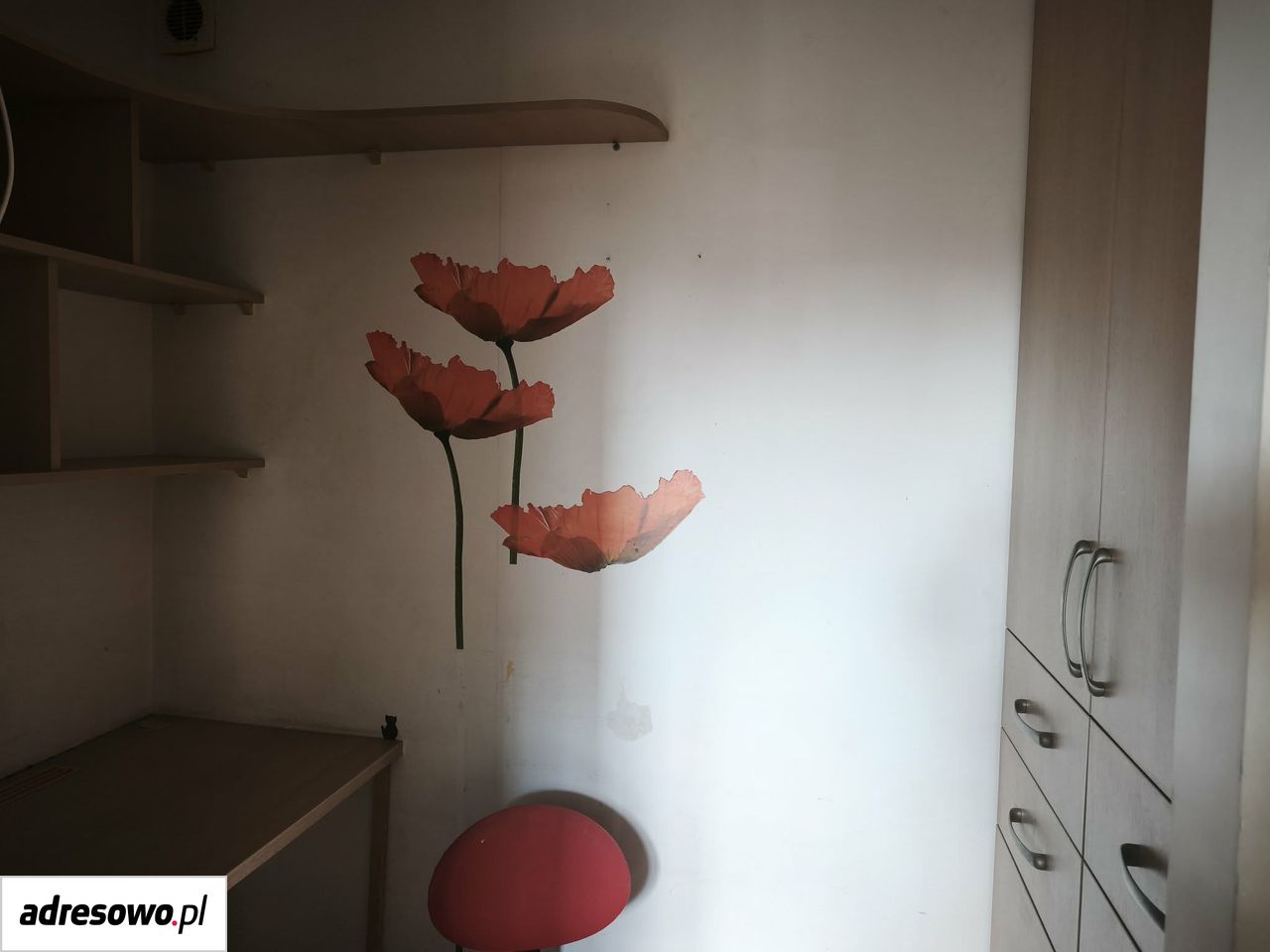 Zdjęcie 8
