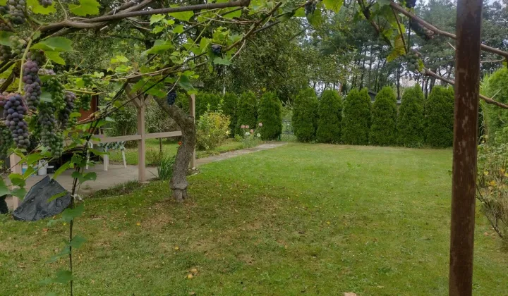 Działka rod Rybnik Rybnicka Kuźnia, ul. Podmiejska