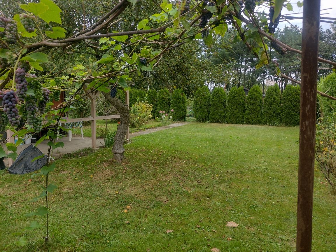 Działka rod Rybnik Rybnicka Kuźnia, ul. Podmiejska