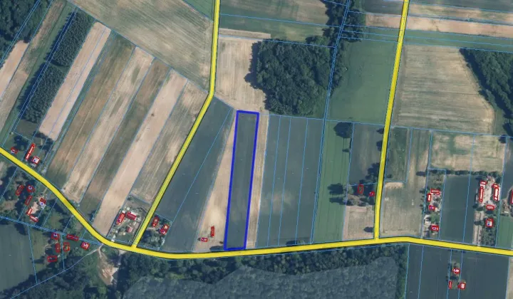 Działka rolno-budowlana Sosnowa-Dębowa