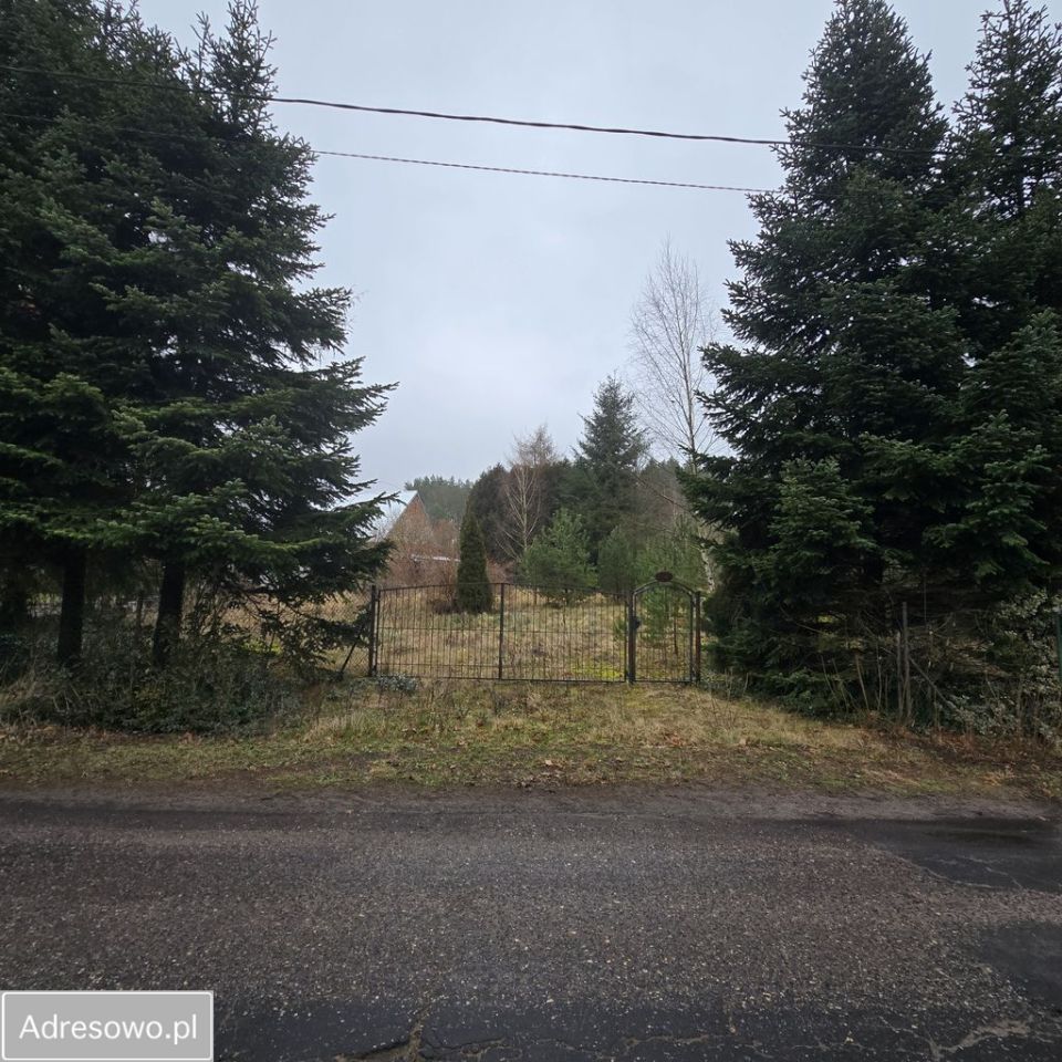 Działka rolno-budowlana Bolechowo. Zdjęcie 9