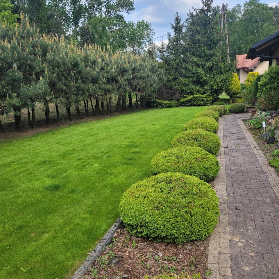 dom wolnostojący, 4 pokoje Kobyla Góra Onufry, ul. Wojska Polskiego. Zdjęcie 10