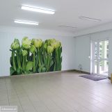 Lokal Rąbień, ul. Pańska. Zdjęcie 4