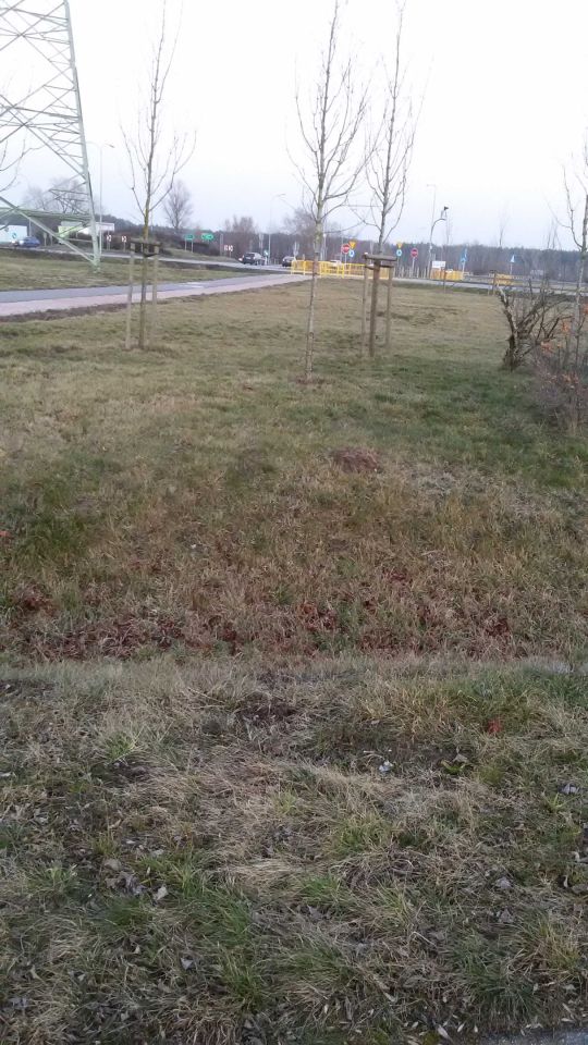 Działka budowlana Płock Radziwie, ul. Dobrzykowska. Zdjęcie 6