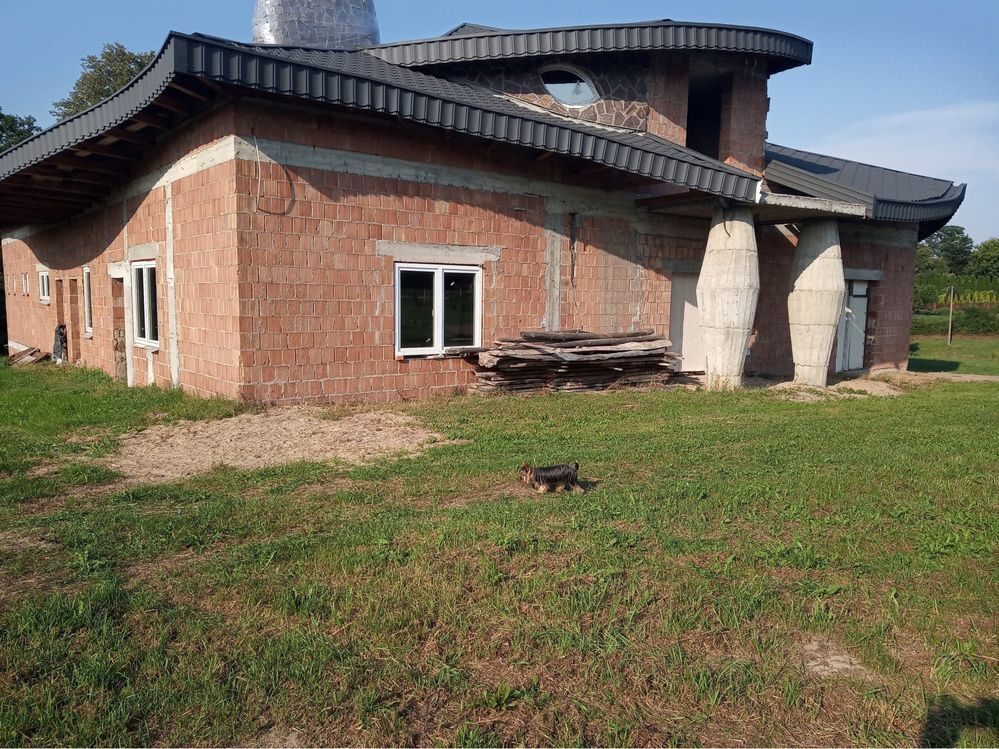 Lokal Łęki Dolne. Zdjęcie 6