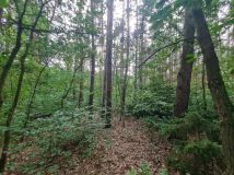 dom letniskowy, 3 pokoje Kębliny, ul. Letniskowa. Zdjęcie 4