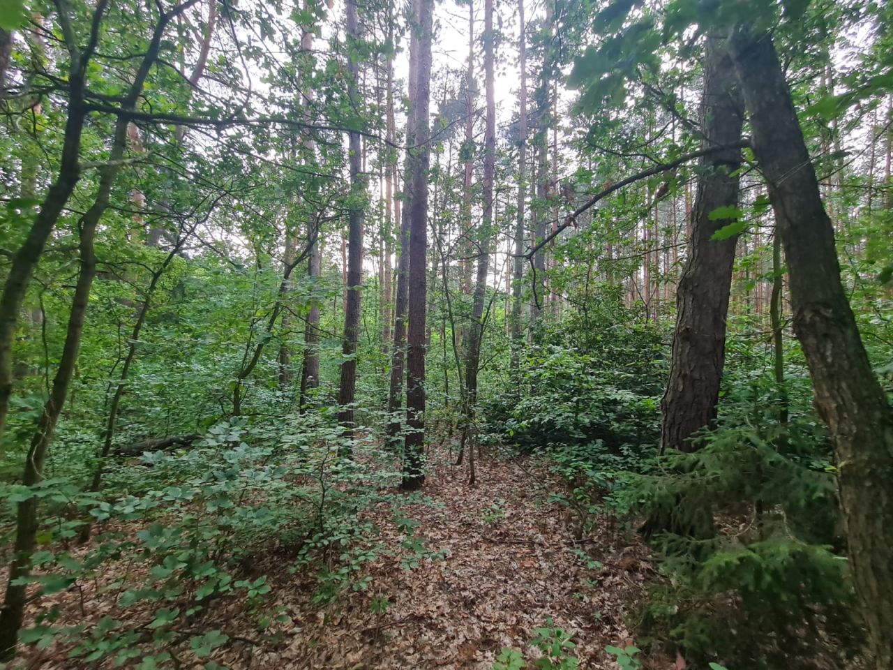 dom letniskowy, 3 pokoje Kębliny, ul. Letniskowa. Zdjęcie 5