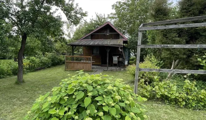 Działka rod Płock, ul. Targowa