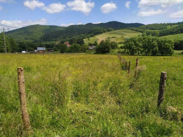 Działka budowlana Terka. Zdjęcie 5