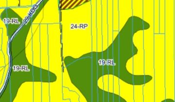 Działka rolno-budowlana Stok