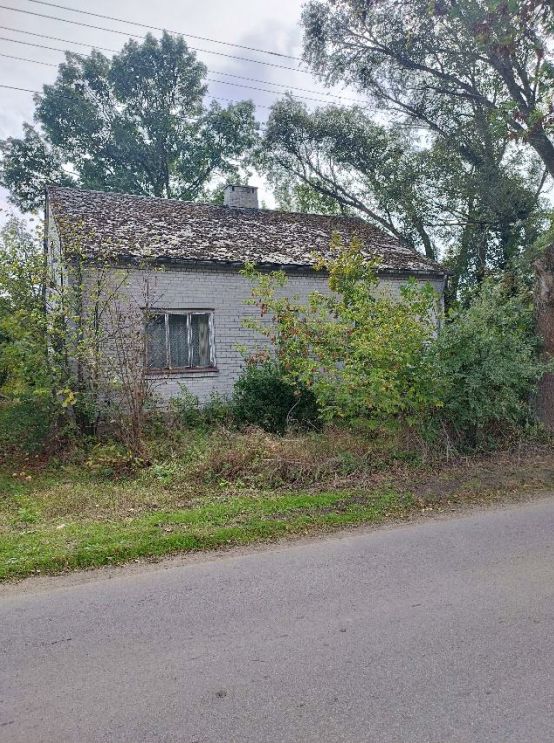 Działka rolno-budowlana Nowa Wieś. Zdjęcie 4