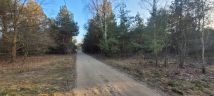 Działka budowlana Budziska Nowe Budziska, Ireny Idzi. Zdjęcie 3
