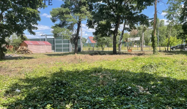 Działka inwestycyjna Warszawa Wawer, ul. Patriotów