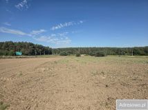 Działka inwestycyjna Wschowa, ul. Irlandzka. Zdjęcie 3