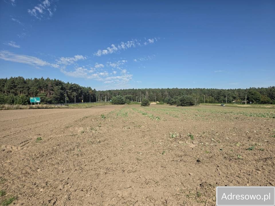 Działka inwestycyjna Wschowa, ul. Irlandzka. Zdjęcie 4