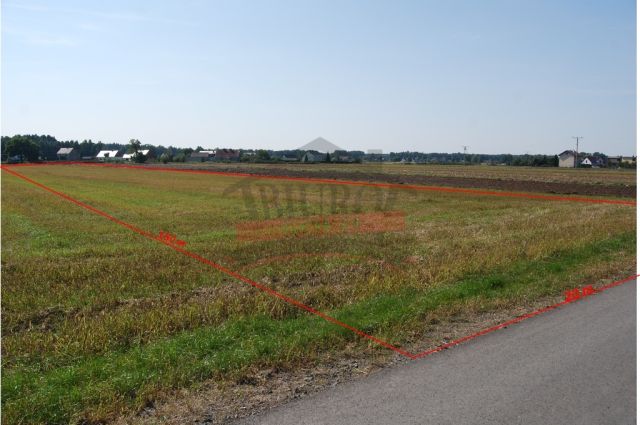 Działka budowlana Krasiejów. Zdjęcie 1