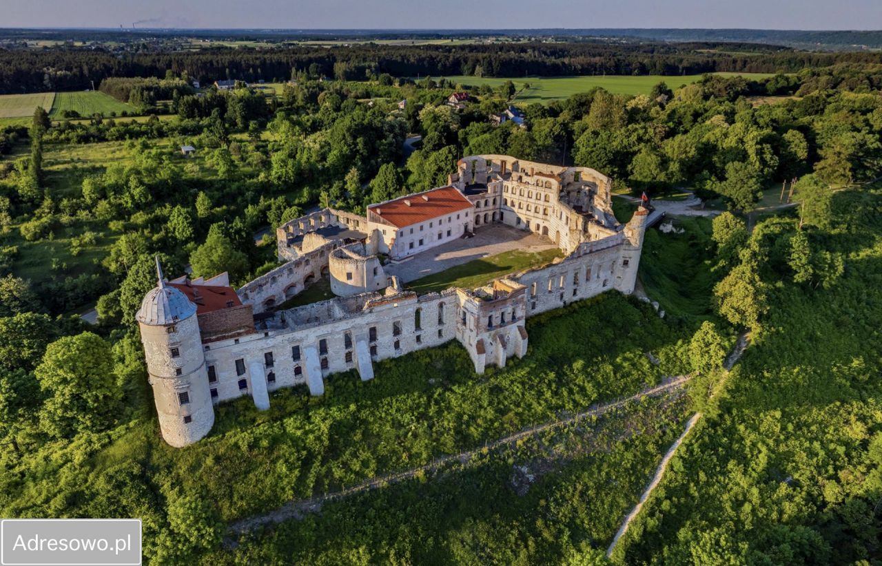 Działka leśna Janowiec, ul. Spółdzielcza. Zdjęcie 4