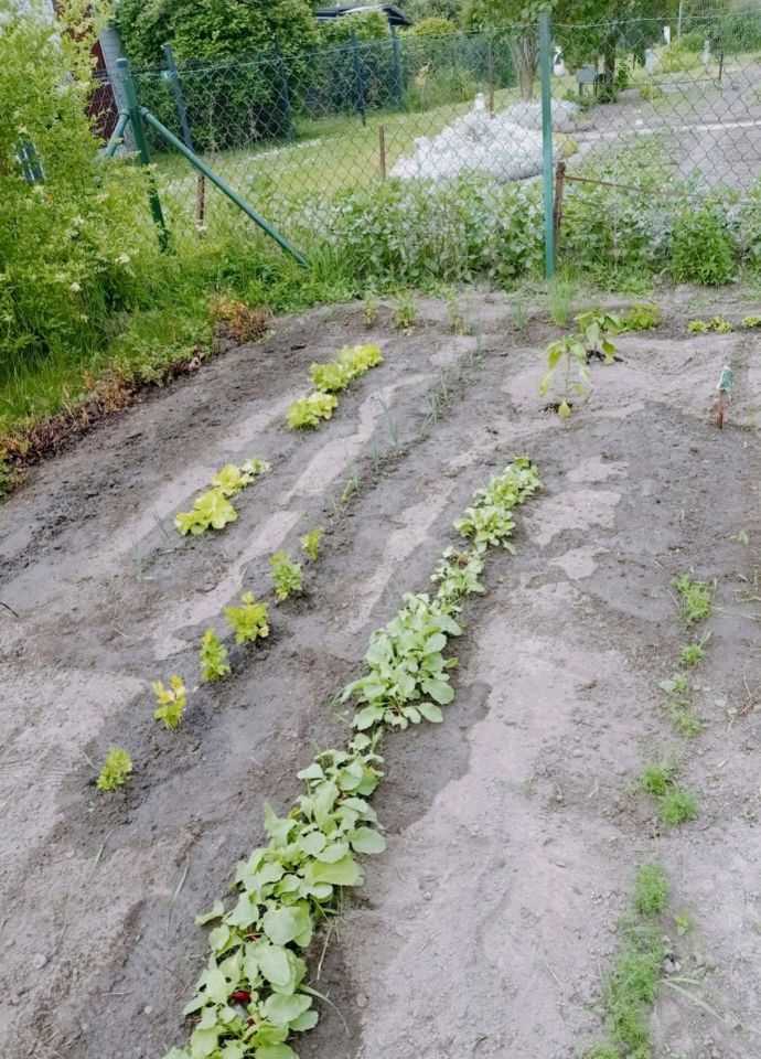 Działka rod Oleśnica, ul. Stanisława Moniuszki. Zdjęcie 3