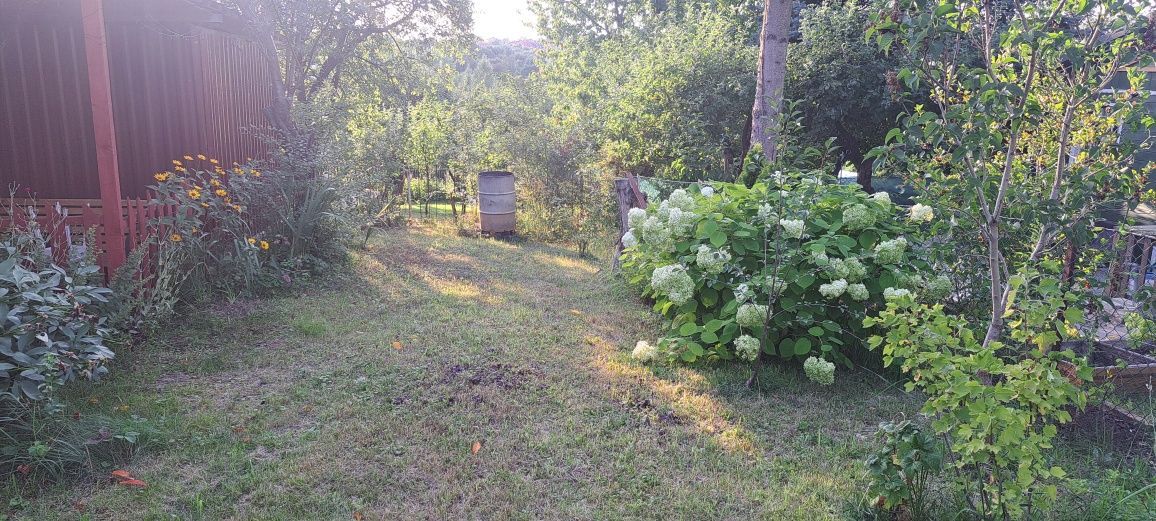 Działka rod Lublin, ul. Nałęczowska. Zdjęcie 5