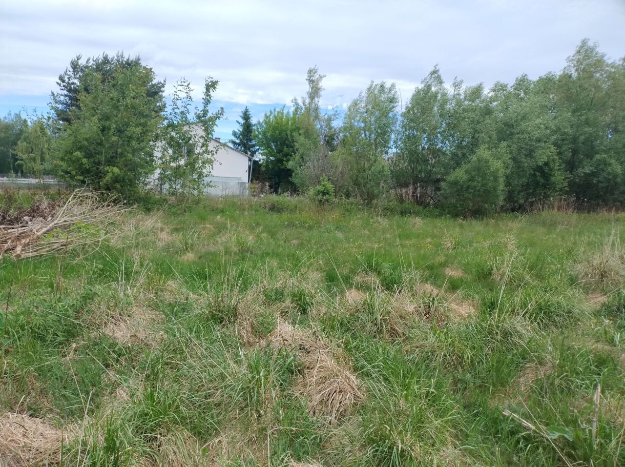Działka budowlana Jaktorów-Kolonia. Zdjęcie 5